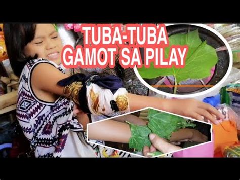 PILAY (Tagalog).